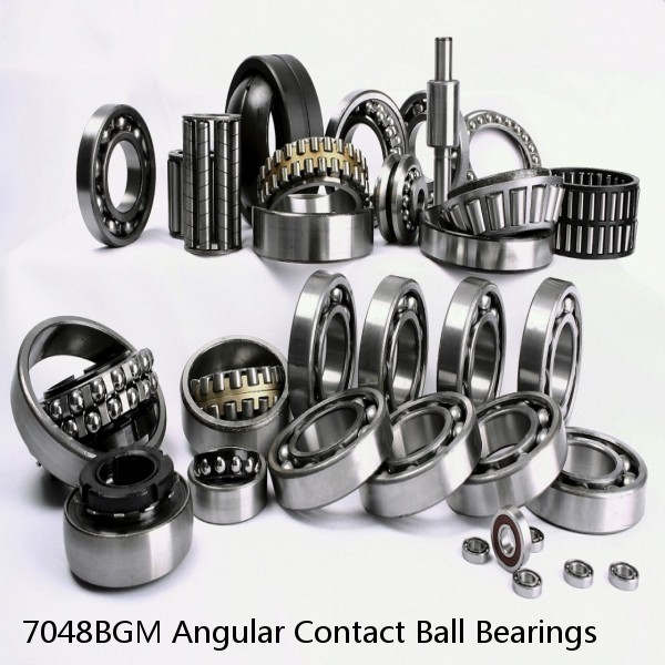 7048BGM Angular Contact Ball Bearings