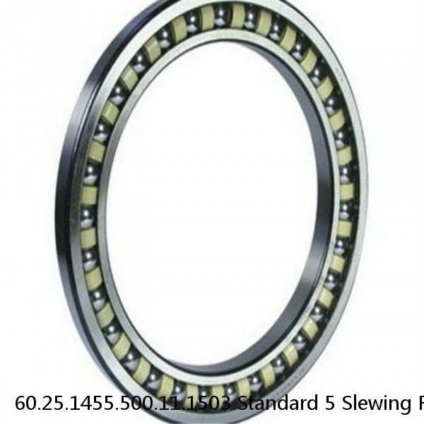 60.25.1455.500.11.1503 Standard 5 Slewing Ring Bearings