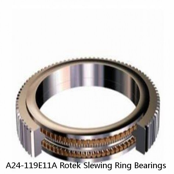 A24-119E11A Rotek Slewing Ring Bearings