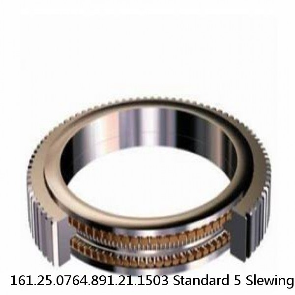 161.25.0764.891.21.1503 Standard 5 Slewing Ring Bearings