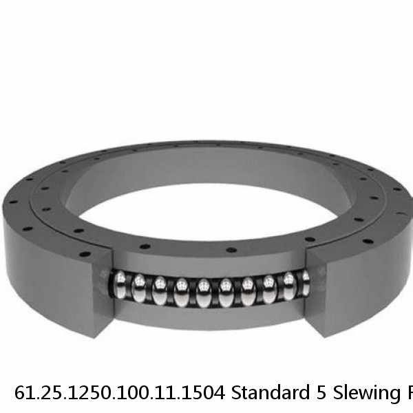 61.25.1250.100.11.1504 Standard 5 Slewing Ring Bearings