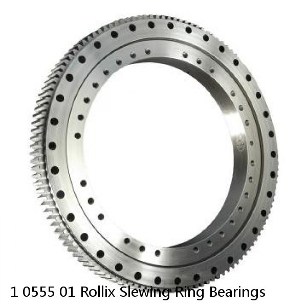 1 0555 01 Rollix Slewing Ring Bearings