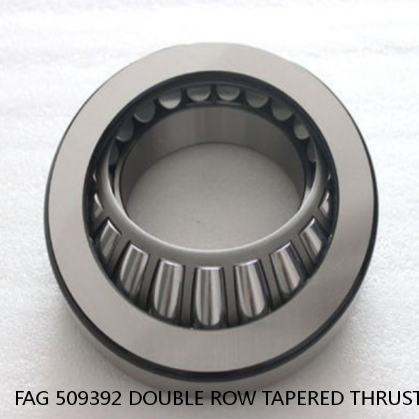 FAG 509392 DOUBLE ROW TAPERED THRUST ROLLER BEARINGS #1 small image
