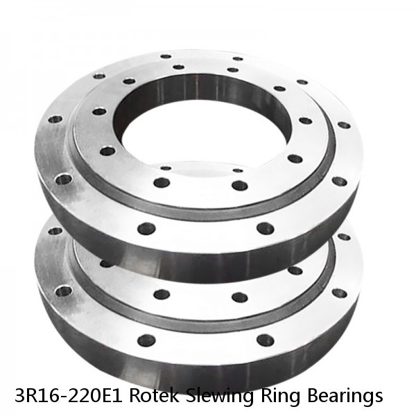 3R16-220E1 Rotek Slewing Ring Bearings