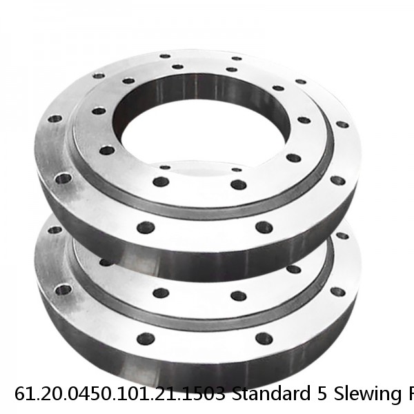 61.20.0450.101.21.1503 Standard 5 Slewing Ring Bearings #1 small image