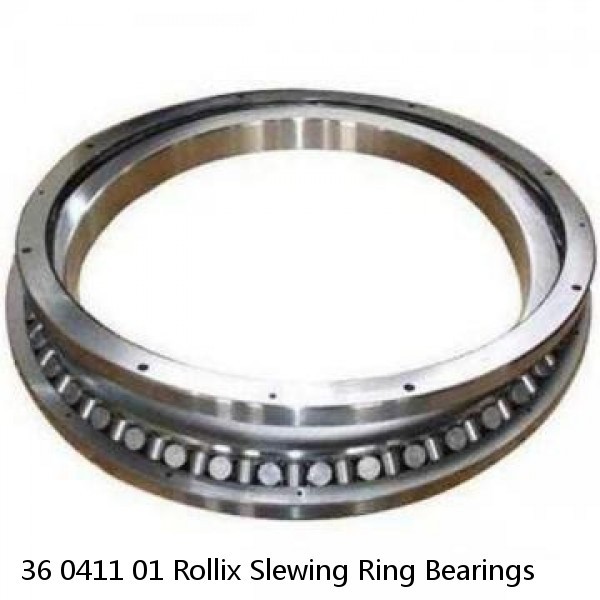 36 0411 01 Rollix Slewing Ring Bearings