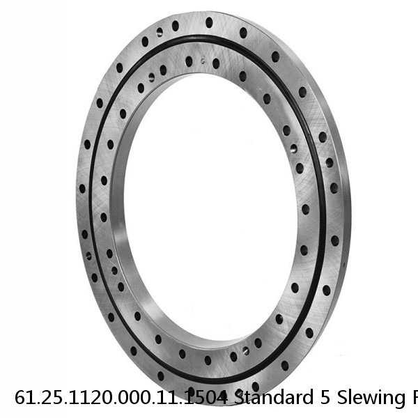 61.25.1120.000.11.1504 Standard 5 Slewing Ring Bearings #1 image