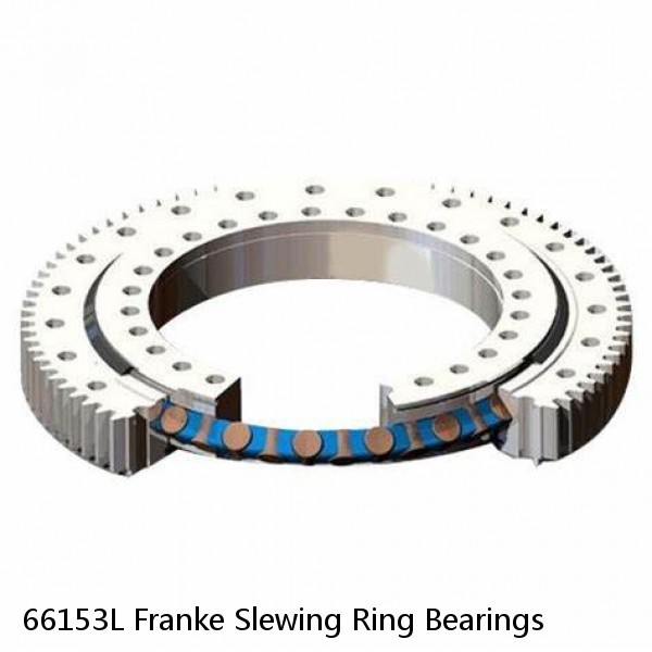 66153L Franke Slewing Ring Bearings #1 image