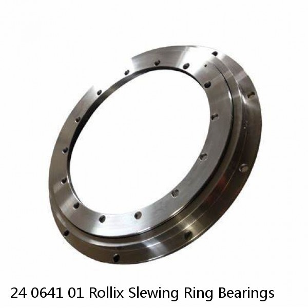 24 0641 01 Rollix Slewing Ring Bearings #1 image