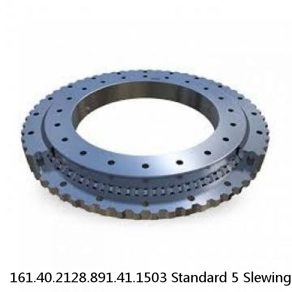 161.40.2128.891.41.1503 Standard 5 Slewing Ring Bearings #1 image