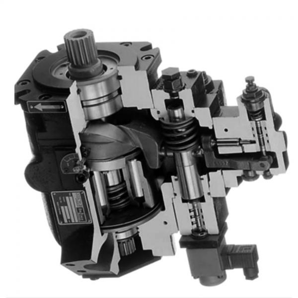 Atos PFG-207 fixed displacement pump #1 image