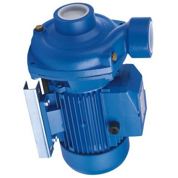 Atos PFG-216 fixed displacement pump #1 image