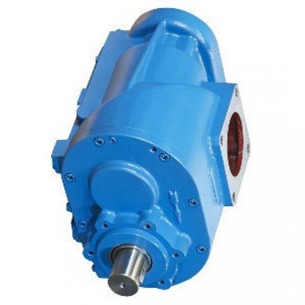 Daikin MFP100/3.2-2-1.5-10 Motor Pump #1 image
