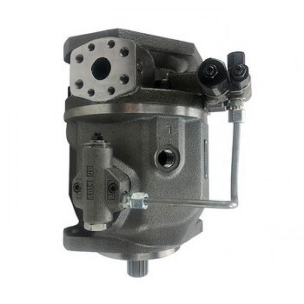 Vickers 4525V60A17-1AA22R Double Vane Pump #1 image