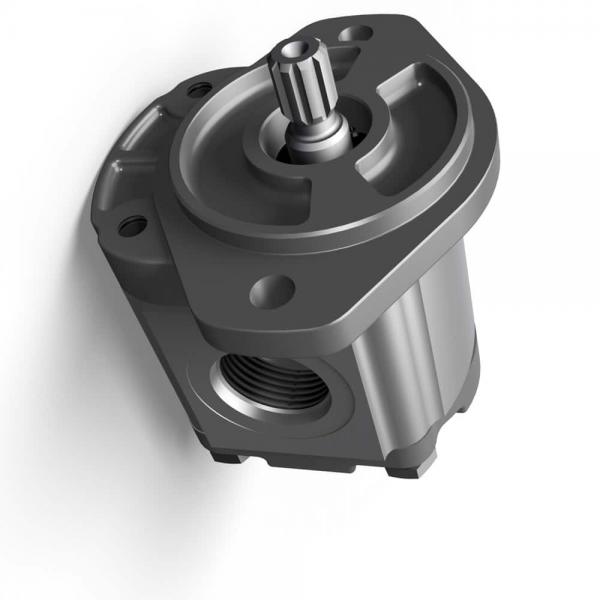 Rexroth A11VLO190LRDS/11R-NZD12K07-S Axial piston variable pump #1 image