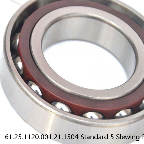 61.25.1120.001.21.1504 Standard 5 Slewing Ring Bearings #1 image