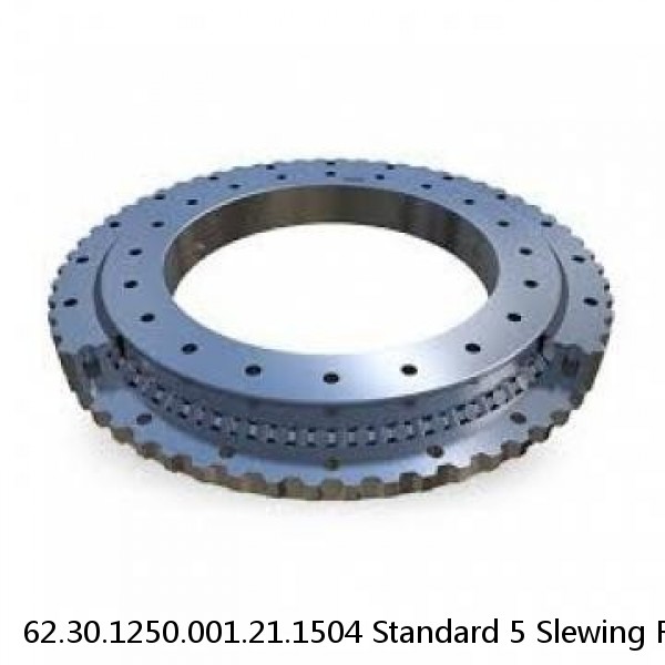 62.30.1250.001.21.1504 Standard 5 Slewing Ring Bearings #1 image