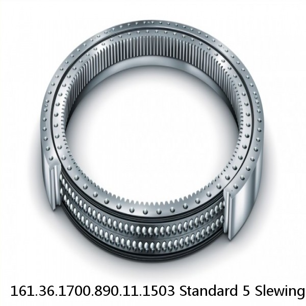 161.36.1700.890.11.1503 Standard 5 Slewing Ring Bearings #1 image