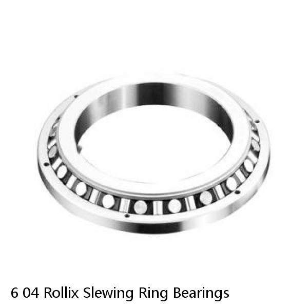 6 04 Rollix Slewing Ring Bearings #1 image