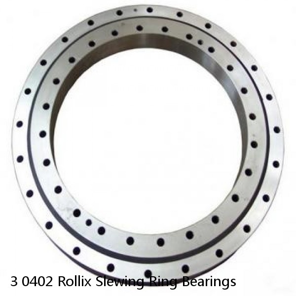 3 0402 Rollix Slewing Ring Bearings #1 image