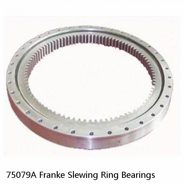 75079A Franke Slewing Ring Bearings #1 image