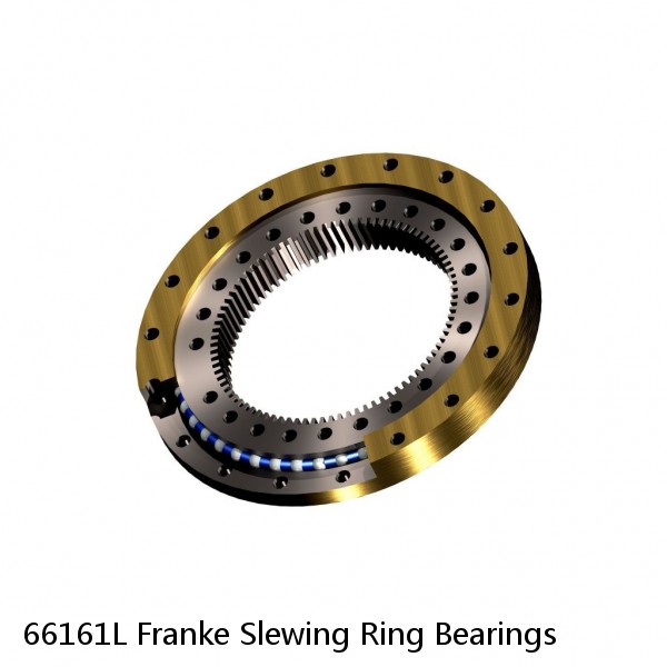 66161L Franke Slewing Ring Bearings #1 image
