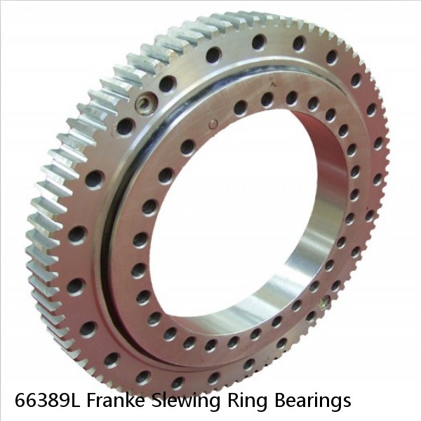 66389L Franke Slewing Ring Bearings #1 image